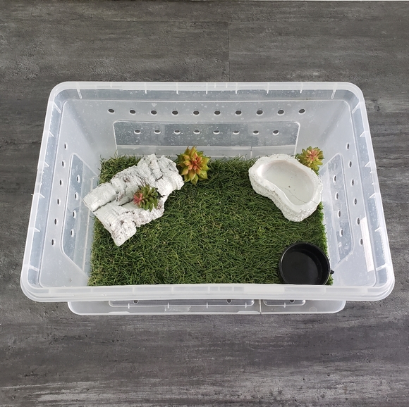 Tarantula Enclosure Large Vented Reptile 1 Terrarium